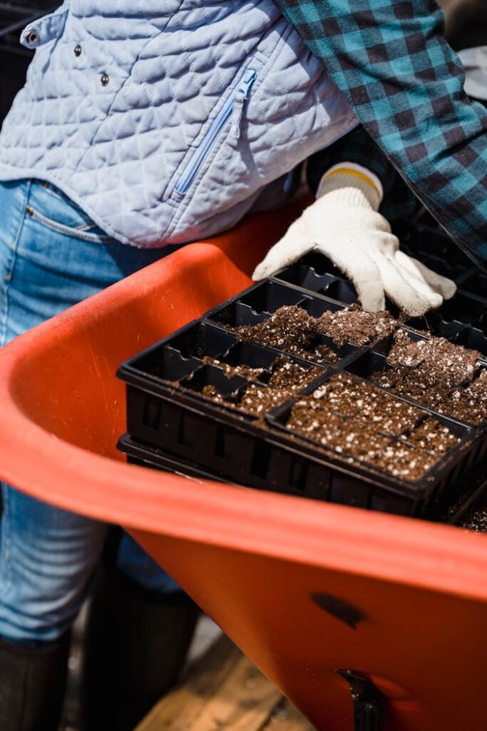 Unrecognizable gardener with planted seeds